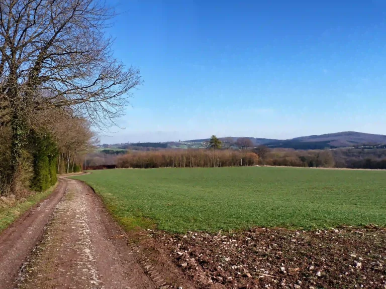 Chemin à Durbuy