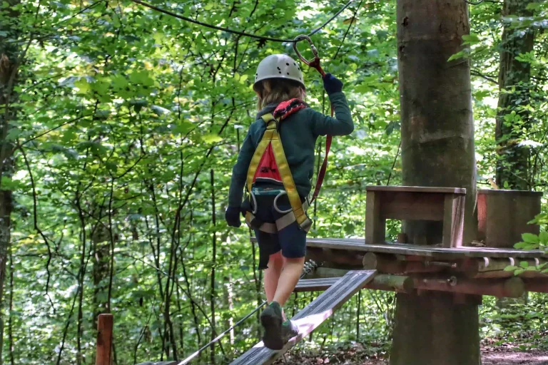 Cours d'escalade d'arbres